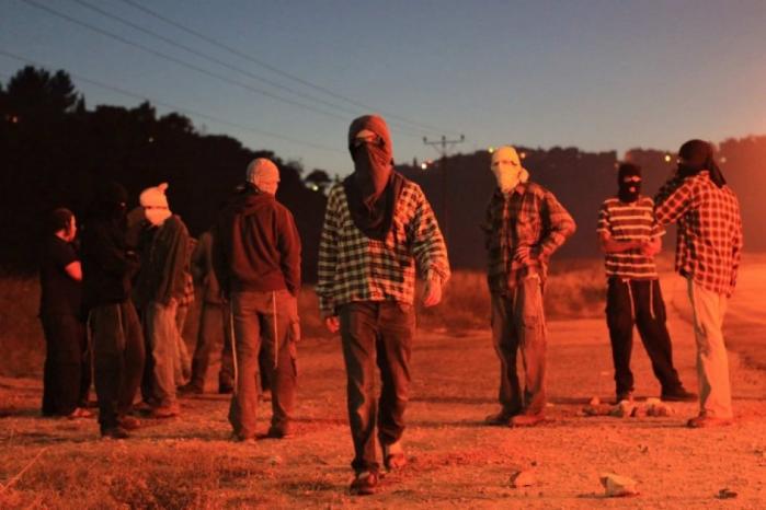 Des colons attaquent des agriculteurs à Wadi Qana, au nord-ouest de Salfit