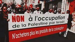 Une initiative européenne pour recueillir un million de signatures pour interdire l'entrée des produits des colonies sur le marché européen