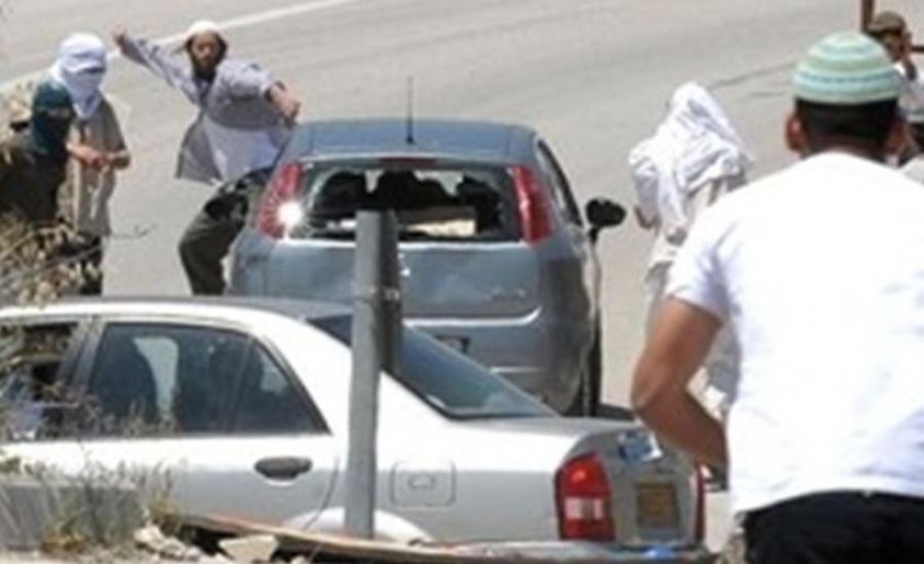 Un citoyen et son fils blessés lors d'une attaque de colons au nord-est de Ramallah